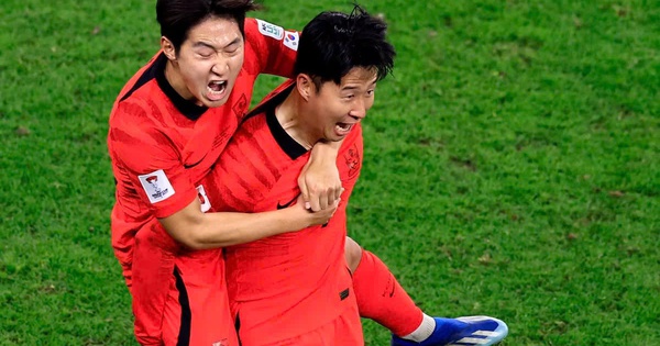 XX88 cược thể thao: So tài Á – Phi tại World Cup 2026 – Cơ hội vàng cho người hâm mộ Việt - hình ảnh - playxx88.com XX88 cược thể thao: So tài Á – Phi tại World Cup 2026 – Cơ hội vàng cho người hâm mộ Việt - hình ảnh - playxx88.com