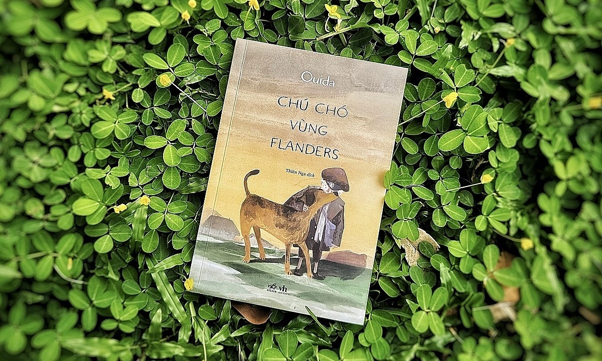 ‘Chú chó vùng Flanders’ hồn nhiên vượt nghịch cảnh - hình ảnh - playxx88.com ‘Chú chó vùng Flanders’ hồn nhiên vượt nghịch cảnh - hình ảnh - playxx88.com