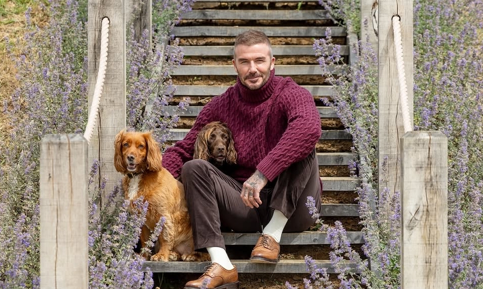 Phong cách mặc giàu ngầm của David Beckham và sự tinh tế như chơi XX88 uy tín - hình ảnh - playxx88.com Phong cách mặc giàu ngầm của David Beckham và sự tinh tế như chơi XX88 uy tín - hình ảnh - playxx88.com