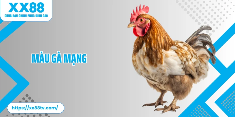 Màu Gà Mạng - Tuyệt Chiêu Chọn Gà Chiến Chuẩn Xác&nbsp;